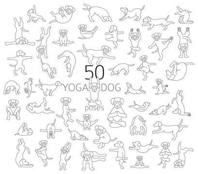 Yoga dogs poses and exercises doing clipart. Funny cartoon simple linear poster design