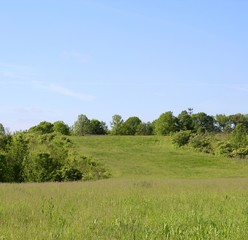 The green grass field in the countryside on a sunny day.