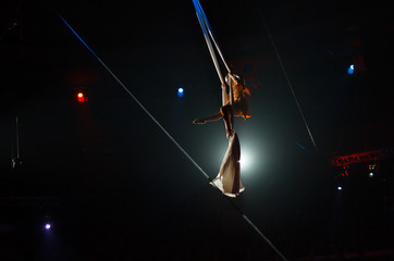 performance of air acrobats in the circus