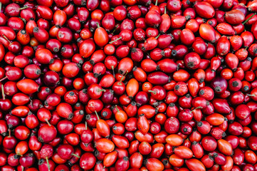 Background freshly harvested red Rosehips, fresh Berries from the dog rose. Rose hip fruits in box in the store. Free space for text. Harvest. Garden. Growing. flat lay. top view.