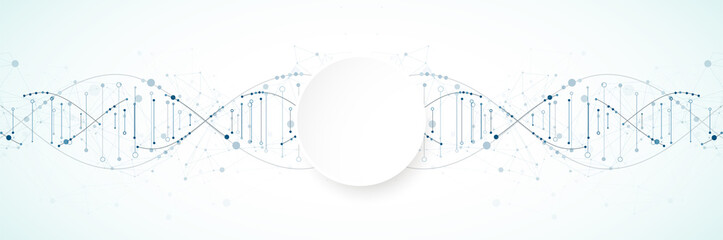 Science template, wallpaper or banner with a DNA molecules. Vector illustration