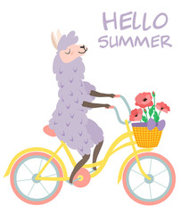 Funny illustration of a cute llama on a bike with flowers. Vector template for greeting card, banner, postcard, poster. © Tayisiya