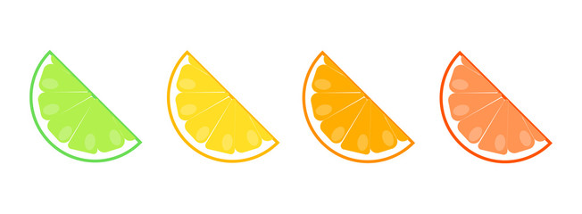 Slices of citrus. Lime, lemon, orange and grapefruit.