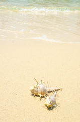 vacanza in tailandia