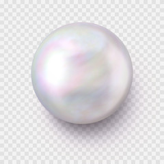 Isolated Realistic Single Shiny Pearl with a Shadow on Transparent Background - obrazy, fototapety, plakaty
