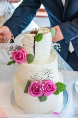 Bride and groom cuts wedding cake