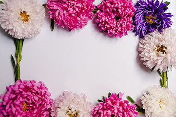 Flowers composition. Violet and purple flowers on white background. Spring, easter concept. Summer delicate blooming leaves and blossoming  flowers, pastel and soft bouquet floral card.