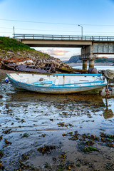 Fototapeta na wymiar Old abandoned boat on the shore. Gloomy northern nature. vertical.