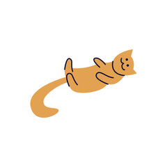 Cat or kitten lays on his back vector line illustration isolated on background.