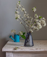 Still life with a bouquet of flowering branches and a watering can. Vintage. Pastel color