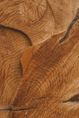  texture of old felled tree