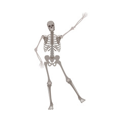 Human skeleton standing on one leg with arm raised up cartoon flat style