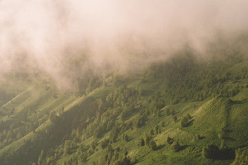 a cloud descended on a green mountain peak and trees at sunset