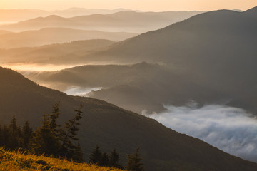beautiful sunrise in the Carpathian mountains. landscape photography