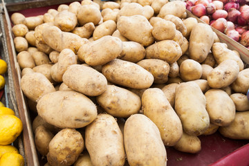 Fototapeta na wymiar Pile of fresh potato at local farmers market stall