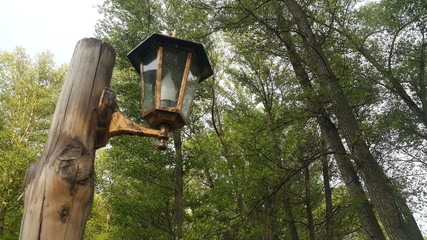 old classic and wooden Lamppost in forest Park, copy space for text