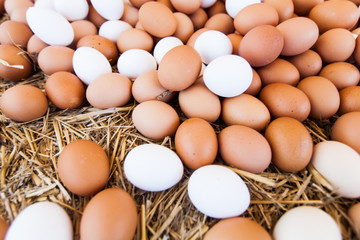 Fresh Domestic Eggs On Local Farmers Market Ready For Sale