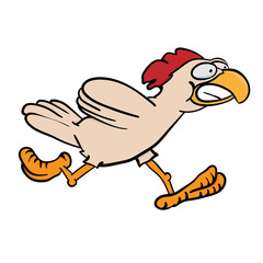 Chicken running fast