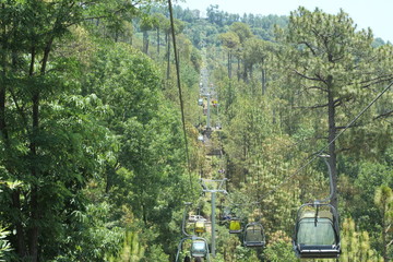 view of forest