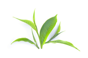 green tea leaf isolated on white background