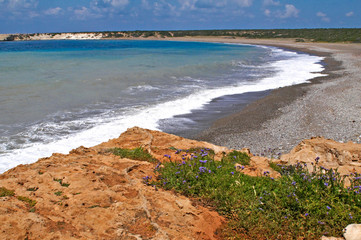 Lara Bay and beach summer breeding ground for the Loggerghead and Green Turtles in the Akamas Nature Reserve Papfos Cyprus