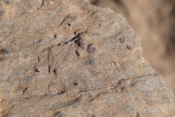 Garnet-pyrope, semi-precious stones field in the mountains