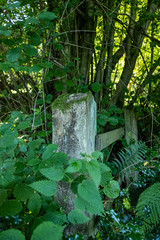 Old Gates and Posts © Justin Owen