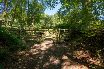 Old Gates and Posts © Justin Owen