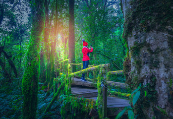 Fototapeta na wymiar Young tourists stand on a wooden bridge and green moss at Angka nature trail in Doi Inthanon national park, Thailand.