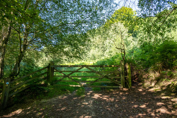 Old Gates and Posts © Justin Owen