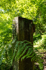 Old Gates and Posts © Justin Owen