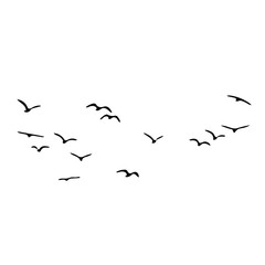 birds vector silhouette