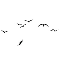 birds vector silhouette