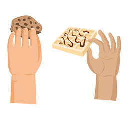 Hands offers sweetness with cake vector arm holding chocolate confectionery sweet confection seduction, no diet. not healthy junk food. Dessert bakery illustration set of hand hold sweets on white