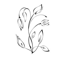 Fototapeta na wymiar stylized flower with two buds on the stem with leaves in black lines on a white background