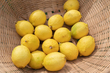 Close up lemon setting in basket in natural light scene / food material / food background / raw material / food photography