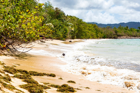 Martinique, am Strand auf der Insel mit blauem Himmel im Hintergrund.