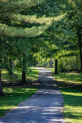 Fototapeta na wymiar Peaceful path in the forest.