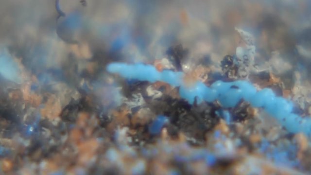 Destroyed plastic particles fall to reservoir bottom, beam falls at end. Plastic as products floats in water and gradually disintegrates into fragments. Concept of pollution of world ocean by plastic