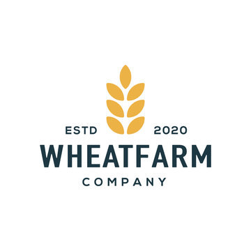 Wheat logo design vector. Universal wheat logo.