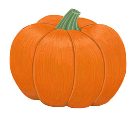 Pumpkin isolated on white background. Hand drawn style. Vector illustration.
