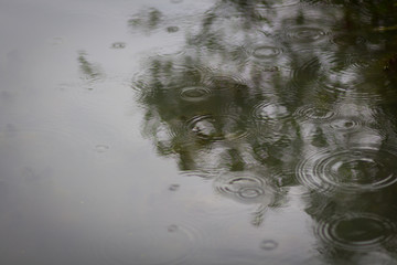 water drops on glass,rain