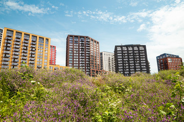High-rise multi apartments building structures estate
