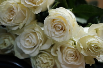  white roses in a bouquet are on the table