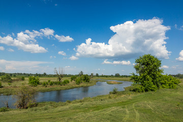 Bzura river near Kamion, Masovia, Poland