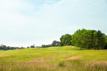 Expanded view of green grass meadow and trees