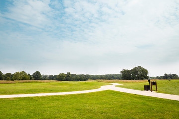 Expanded view of green grass meadow and trees
