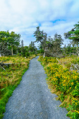 Fototapeta na wymiar Skyline trail, in Cape Breton Highlands National Park