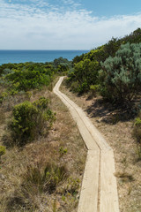 Landschaft auf dem Great Ocean Walk am Cape Otway in Victoria Australien