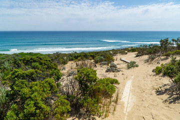Fototapeta na wymiar Landschaft auf dem Great Ocean Walk am Cape Otway in Victoria Australien